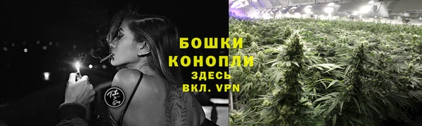 прущие грибы Богородск