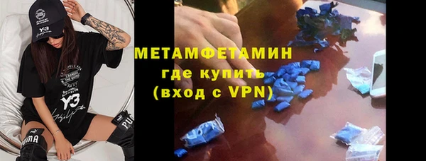 прущие грибы Богородск