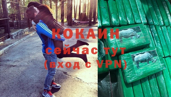 прущие грибы Богородск