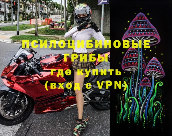 экстази Богородицк