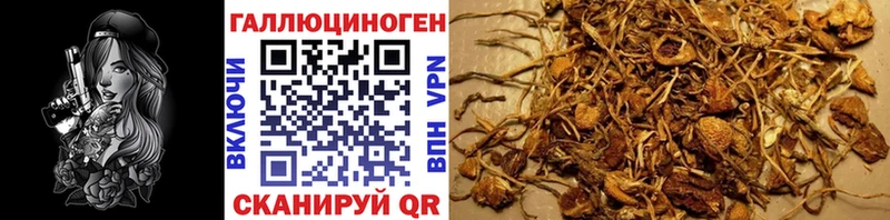 Галлюциногенные грибы MAGIC MUSHROOMS  купить  сайты  Красноперекопск 